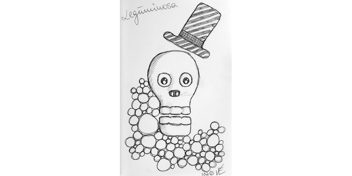 Leguminosa
